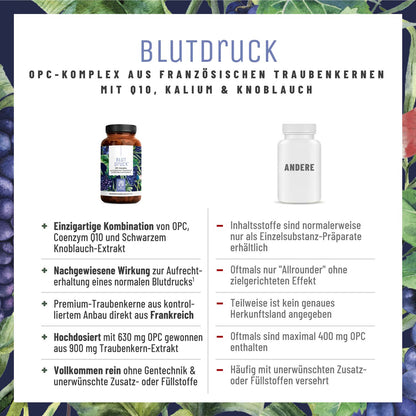 Blutdruck OPC Traubenkern Q10 Komplex Vergleich