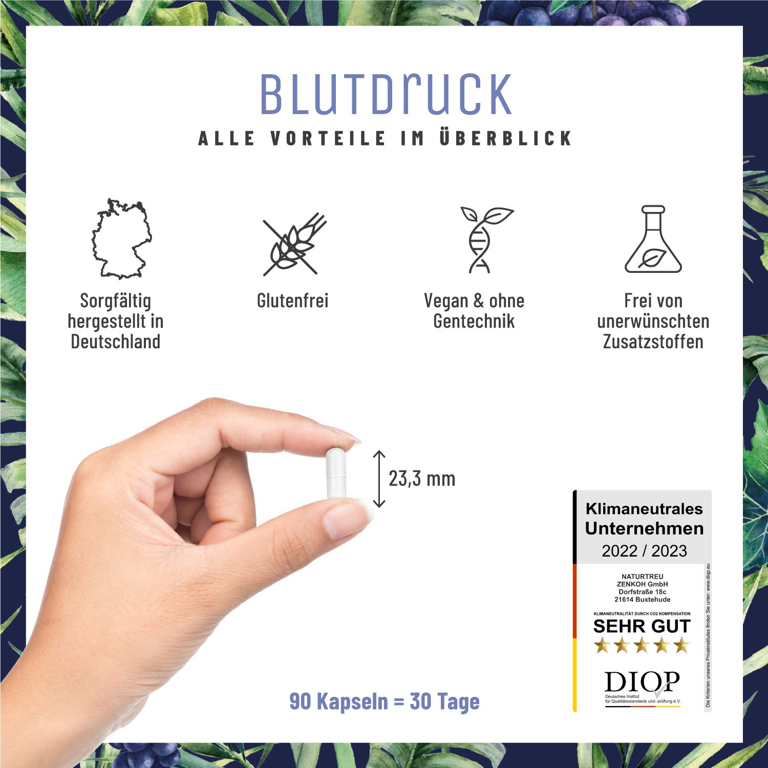 Blutdruck OPC Traubenkern Q10 Komplex Vorteile