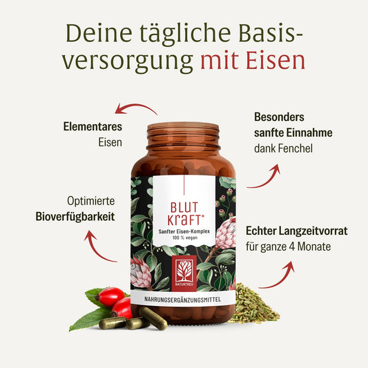 Blutkraft Eisen-Komplex Hochwertige Inhaltsstoffe