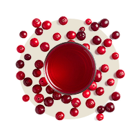 5 Liter Cranberrysaft