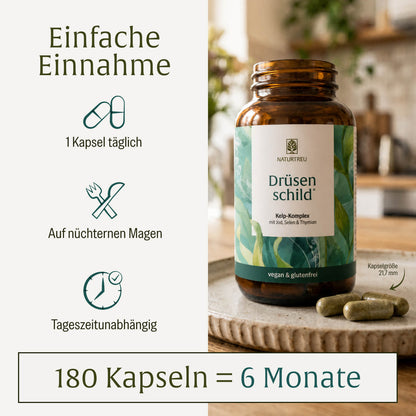 Druesenschild Kelp Komplex Einfache Einnahme