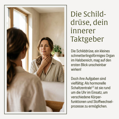 Druesenschild Kelp Komplex Innerer Taktgeber