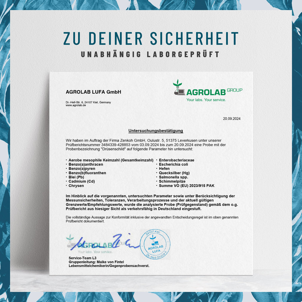 Druesenschild Kelp-Komplex Jod Laborbild DE