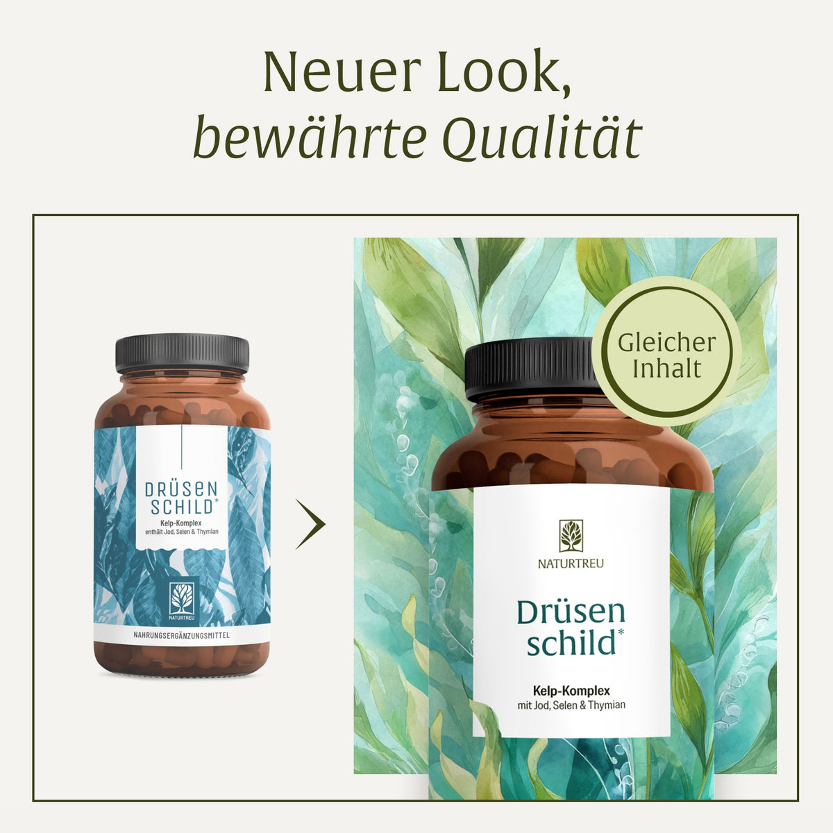 Druesenschild Kelp-Komplex Jod Neues Packaging