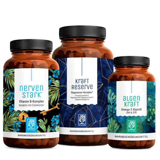 Durchstarter Paket Titelbild