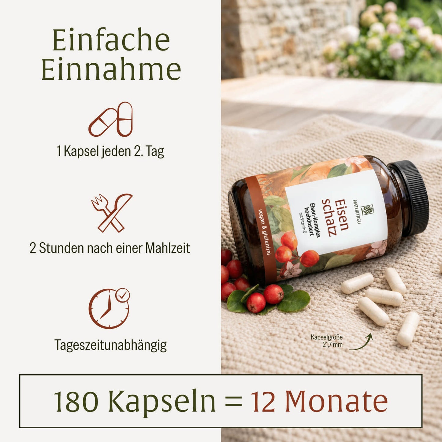 Eisenschatz Eisenkomplex Creatives DE Einfache Einnahme