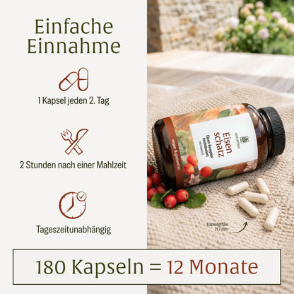 Eisenschatz Eisenkomplex Creatives DE Einfache Einnahme