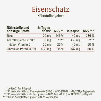 Eisenschatz Eisenkomplex Creatives Onlineshop DE Naehrstofftabelle