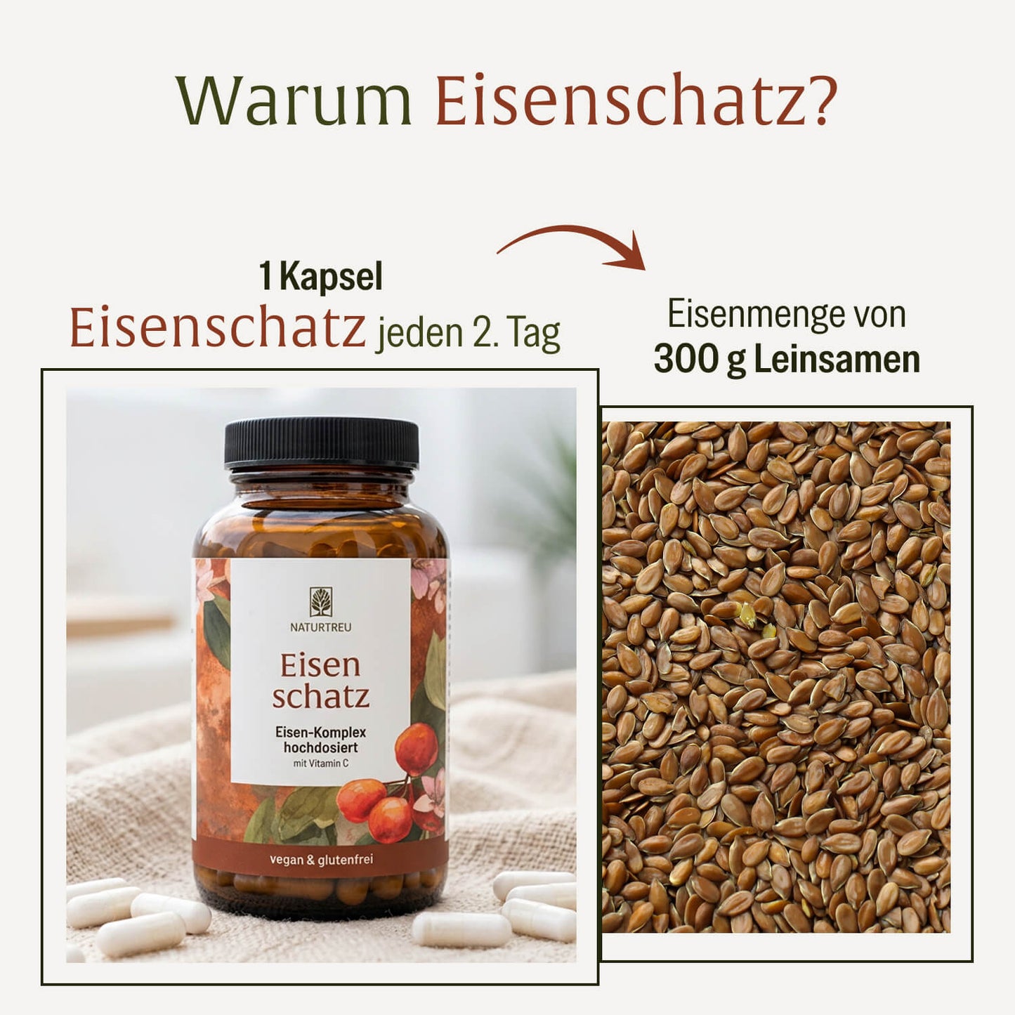 Eisenschatz Eisenkomplex Creatives DE Warum