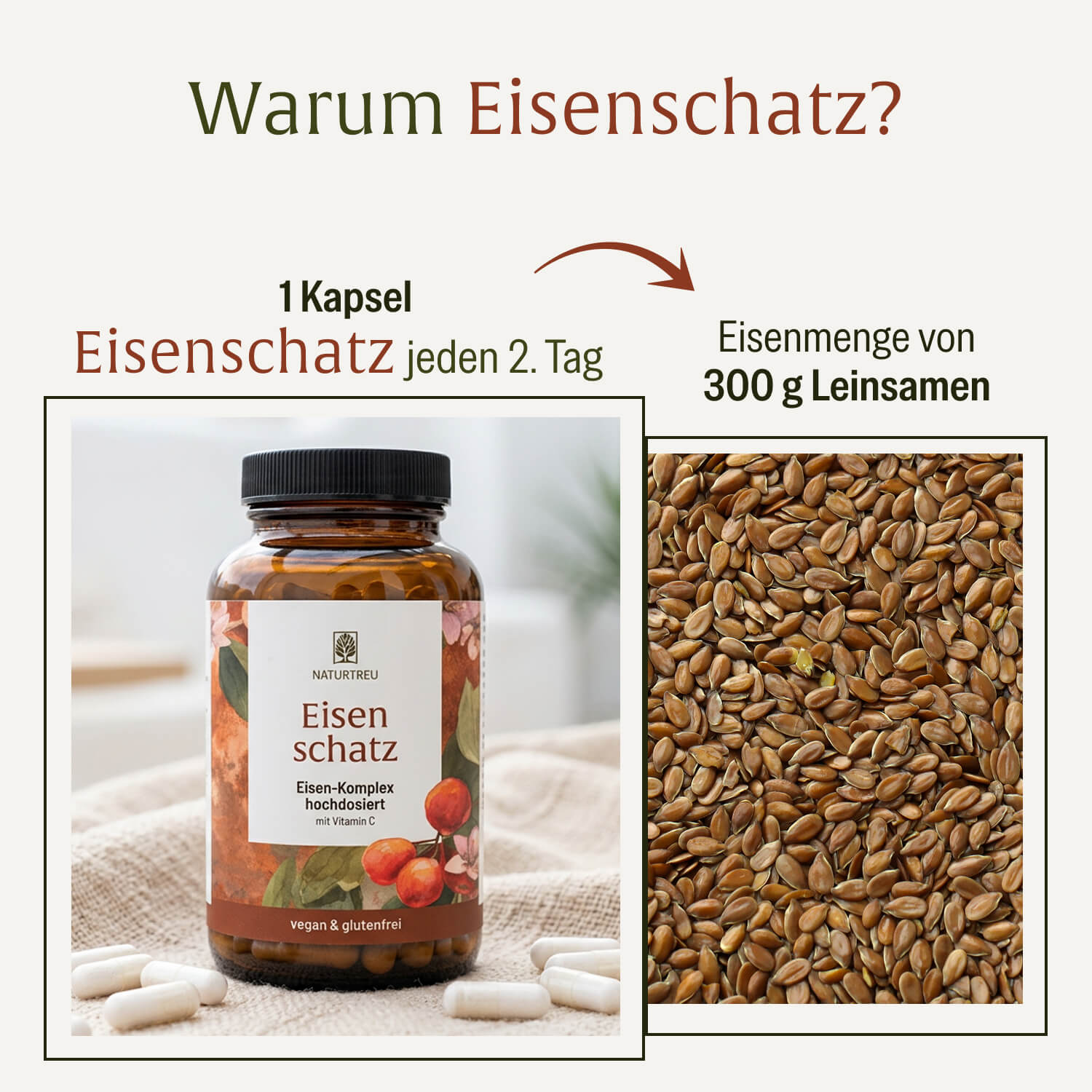 Eisenschatz Eisenkomplex Creatives DE Warum
