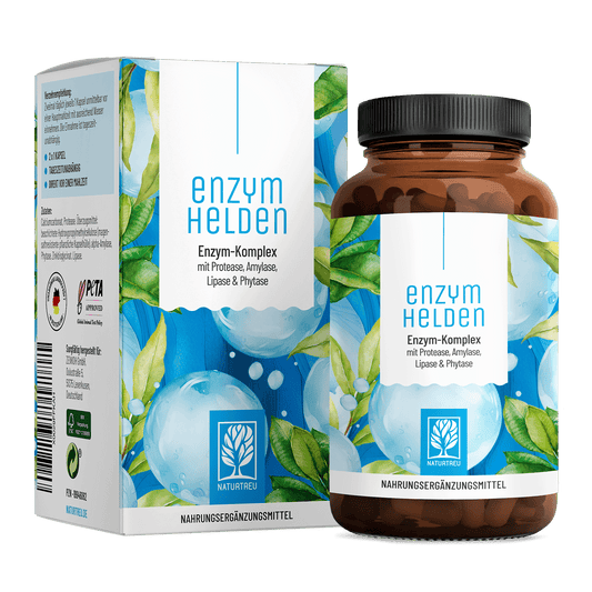 Enzymhelden Enzym-Komplex Titelbild