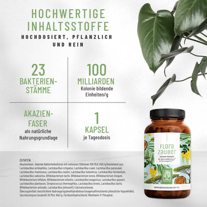 Florazauber Kulturen-komplex Inhaltsstoffe Apotheke