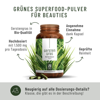 Gerstengras Creatives Onlineshop Inhaltsstoffe