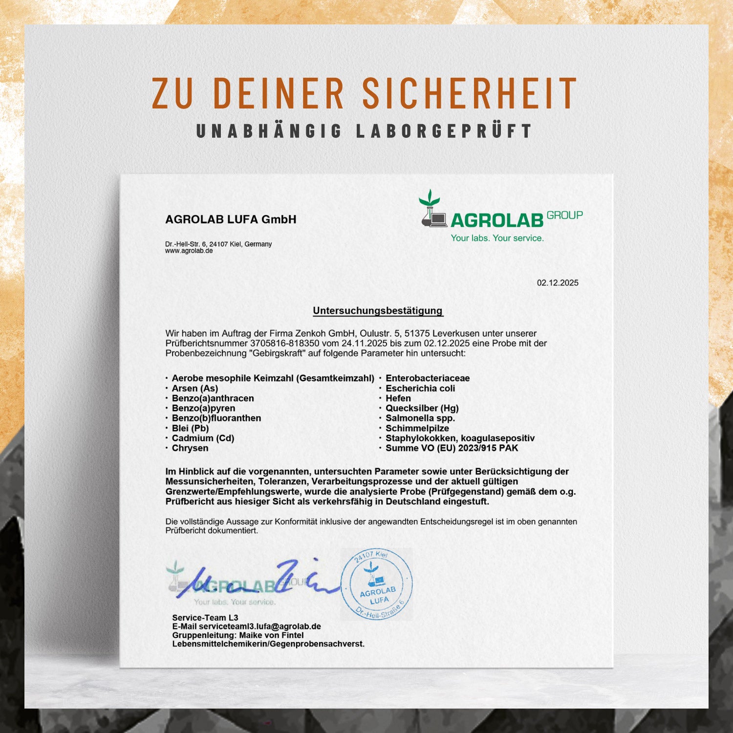 Gebirgskraft Shilajit-Komplex Laborzertifikat