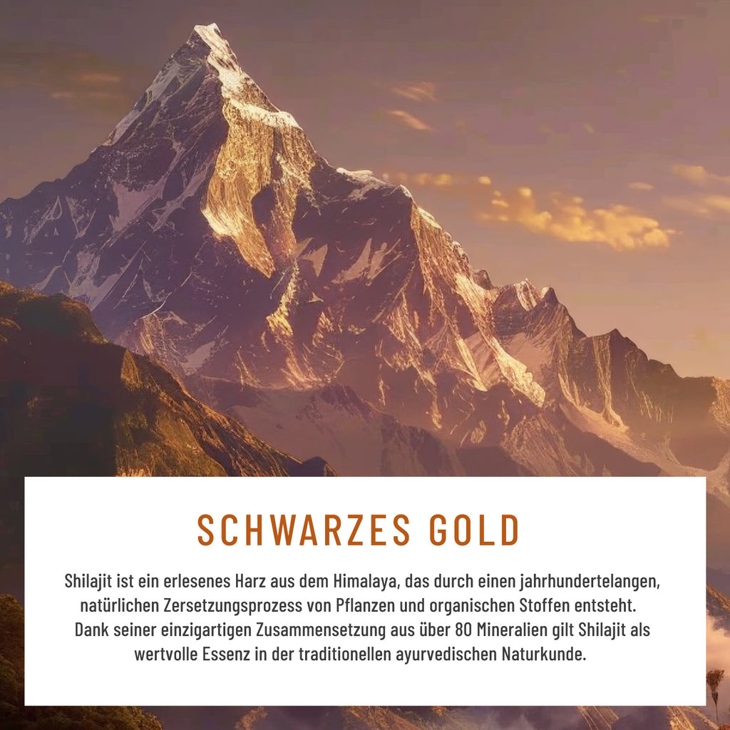 Gebirgskraft Shilajit-Komplex Moodbild