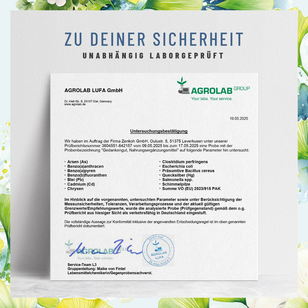 Gedankengut GEGU Loewenmaehne-Brahmi Ginkgo-Cystein Cholin-B-Vitamine Laborgeprueft 