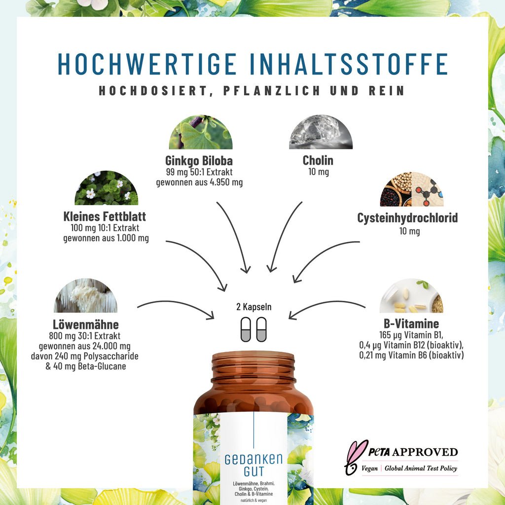 Gedankengut Loewenmaehne Brahmi Ginkgo Cystein Cholin-B-Vitamine Hochw Inhaltsstoffe DE