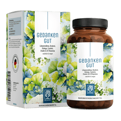 Gedankengut Loewenmaehne Brahmi Ginkgo Cystein Cholin B-Vitamine Titelbild