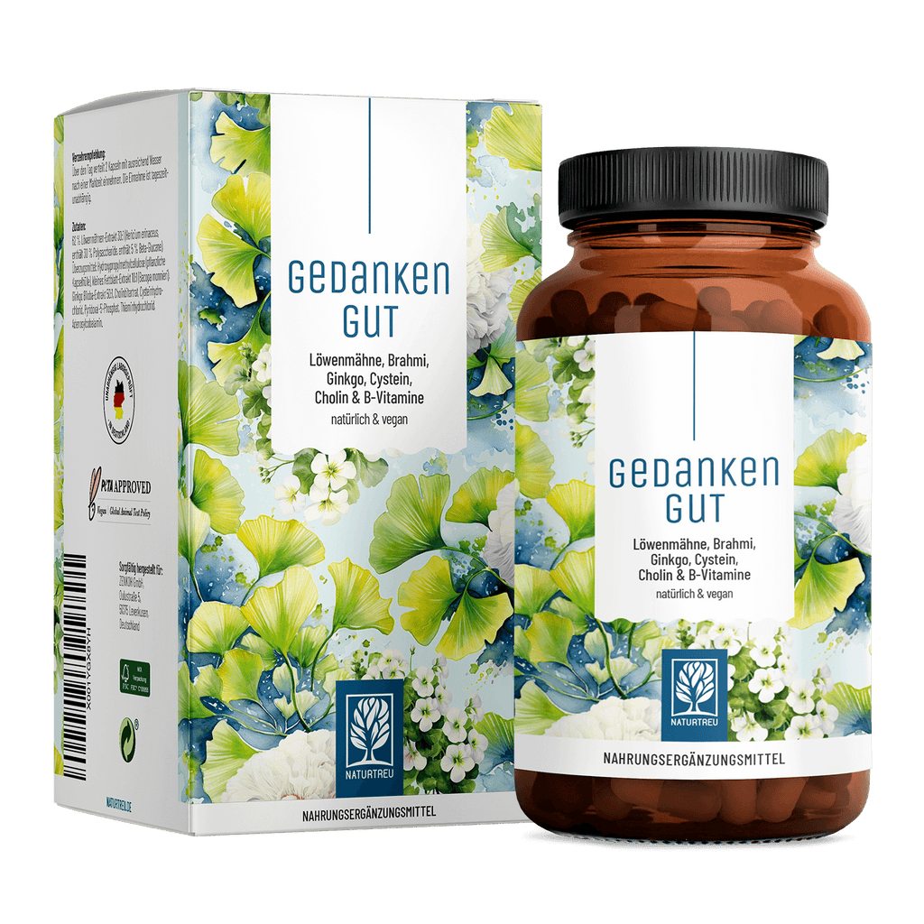 Gedankengut Loewenmaehne Brahmi Ginkgo Cystein Cholin B-Vitamine Titelbild