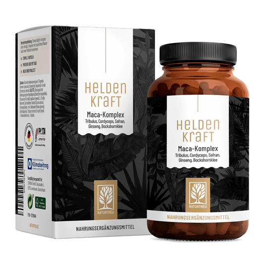 Heldenkraft Titelbild 