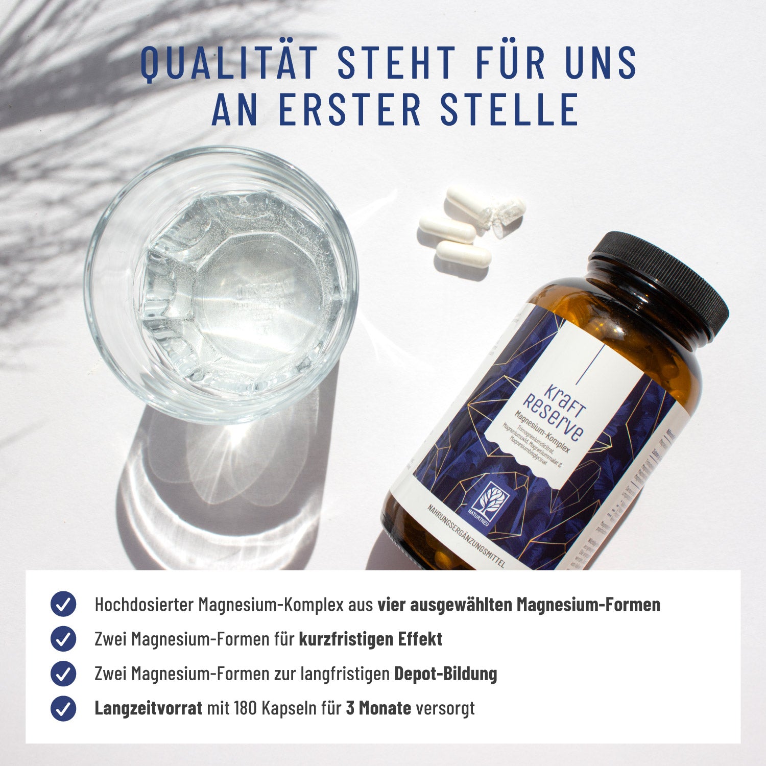 Kraftreserve Magnesium-Komplex Qualitaet