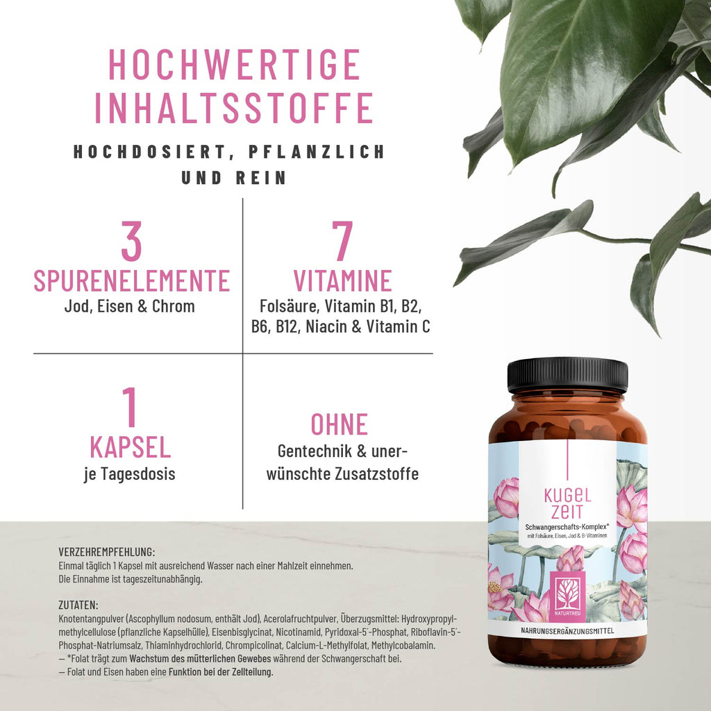 Kugelzeit Schwangerschafts-Komplex Hochwertige-Inhaltsstoffe