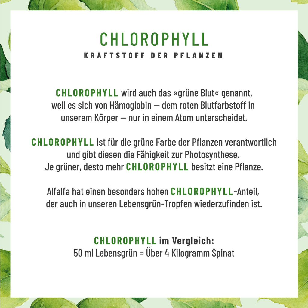 Lebensgrün Chlorophyll-Tropfen Erklärung