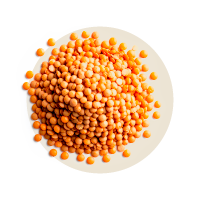 230g Linsen
