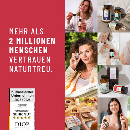 MESC Meeresschild Creatives Testimonial