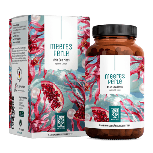 Meeresperle Irish Sea Moss Titelbild