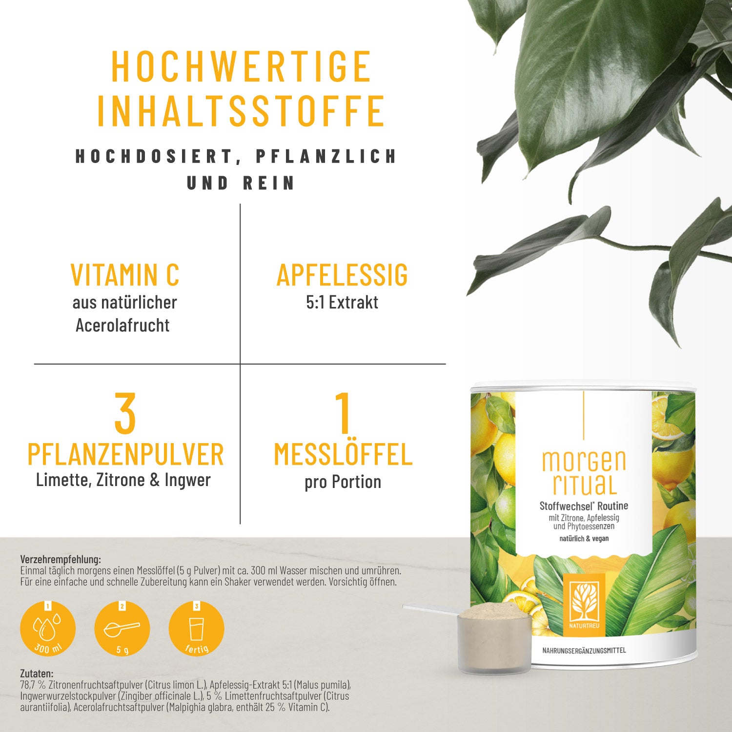 Morgenritual Stoffwechsel Routine Hochwertig Inhaltsstoffe