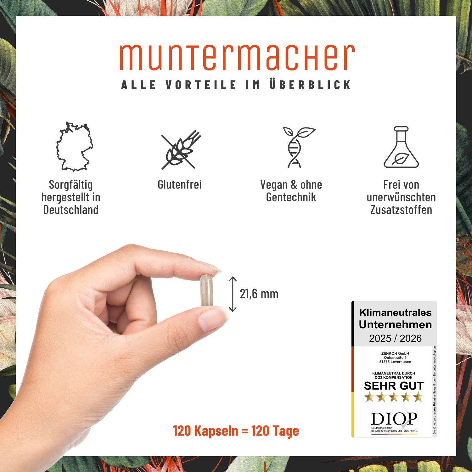 Muntermacher Koffein-Komplex Alle-Vorteile