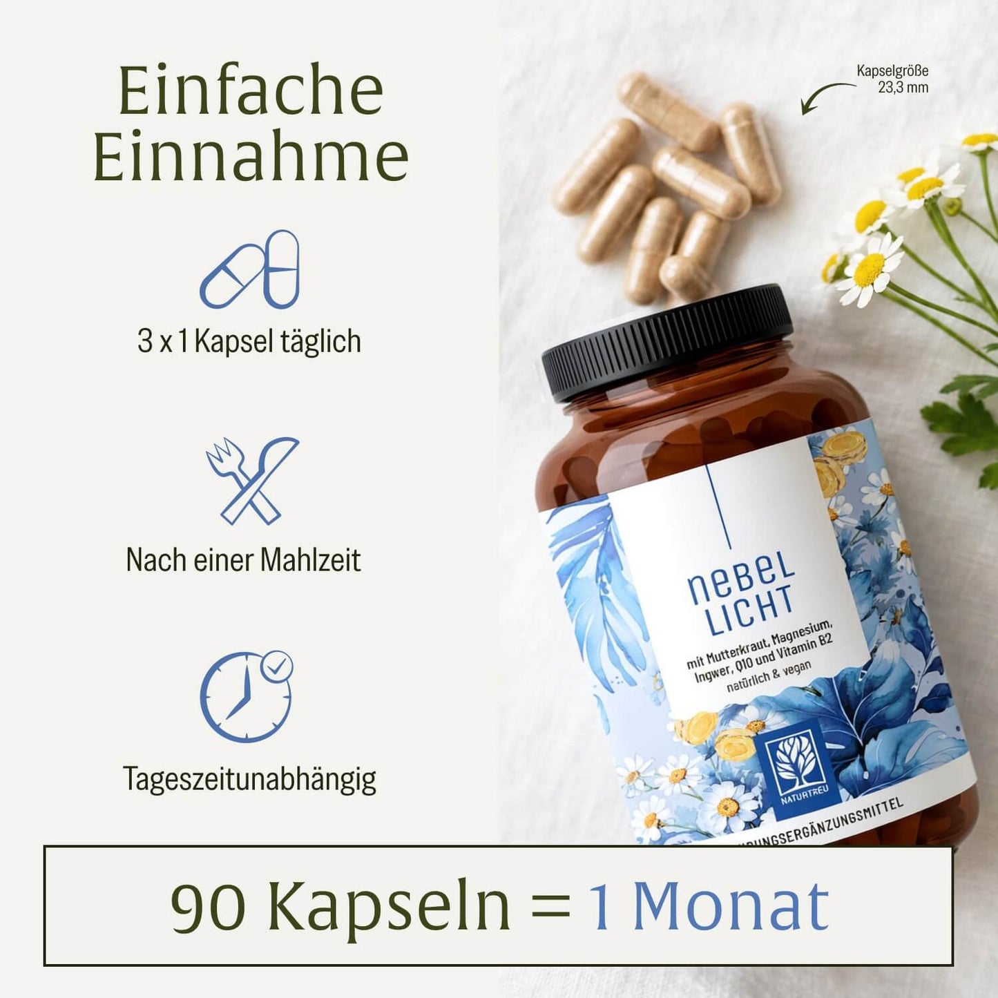 Nebellicht: Mutterkraut Kapseln mit Magnesium, Ingwer & Q10