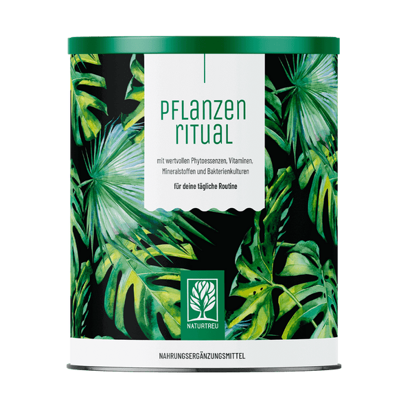 Grünes Superfood Pulver