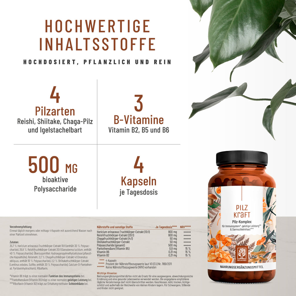 Pilzkraft Pilz-Komplex Hochwertige Inhaltsstoffe