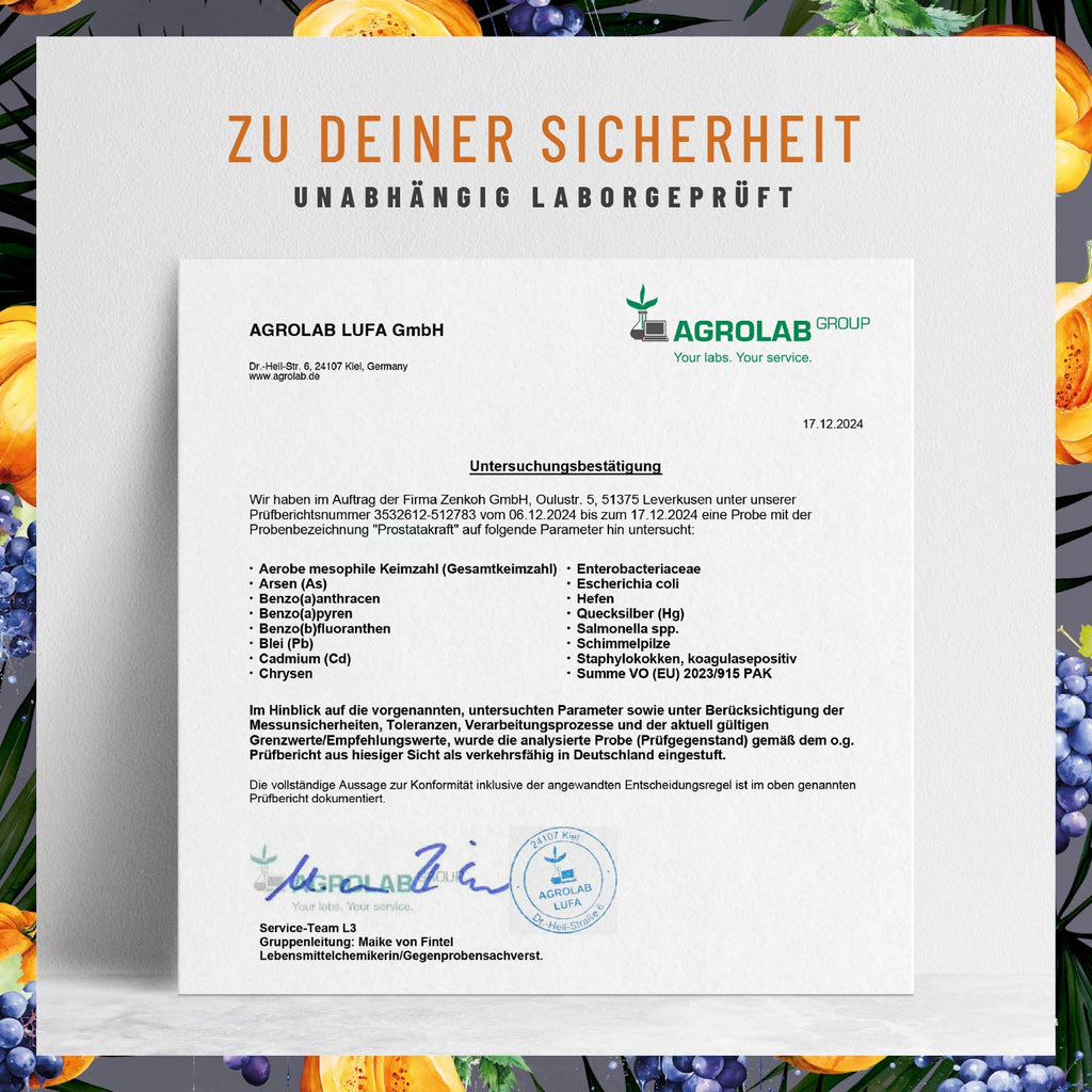 Prostakraft Saegepalmen Komplex mit Kuerbis Traubenkern Brennnessel Vitamin E Zink Selen Laborzertifikat 