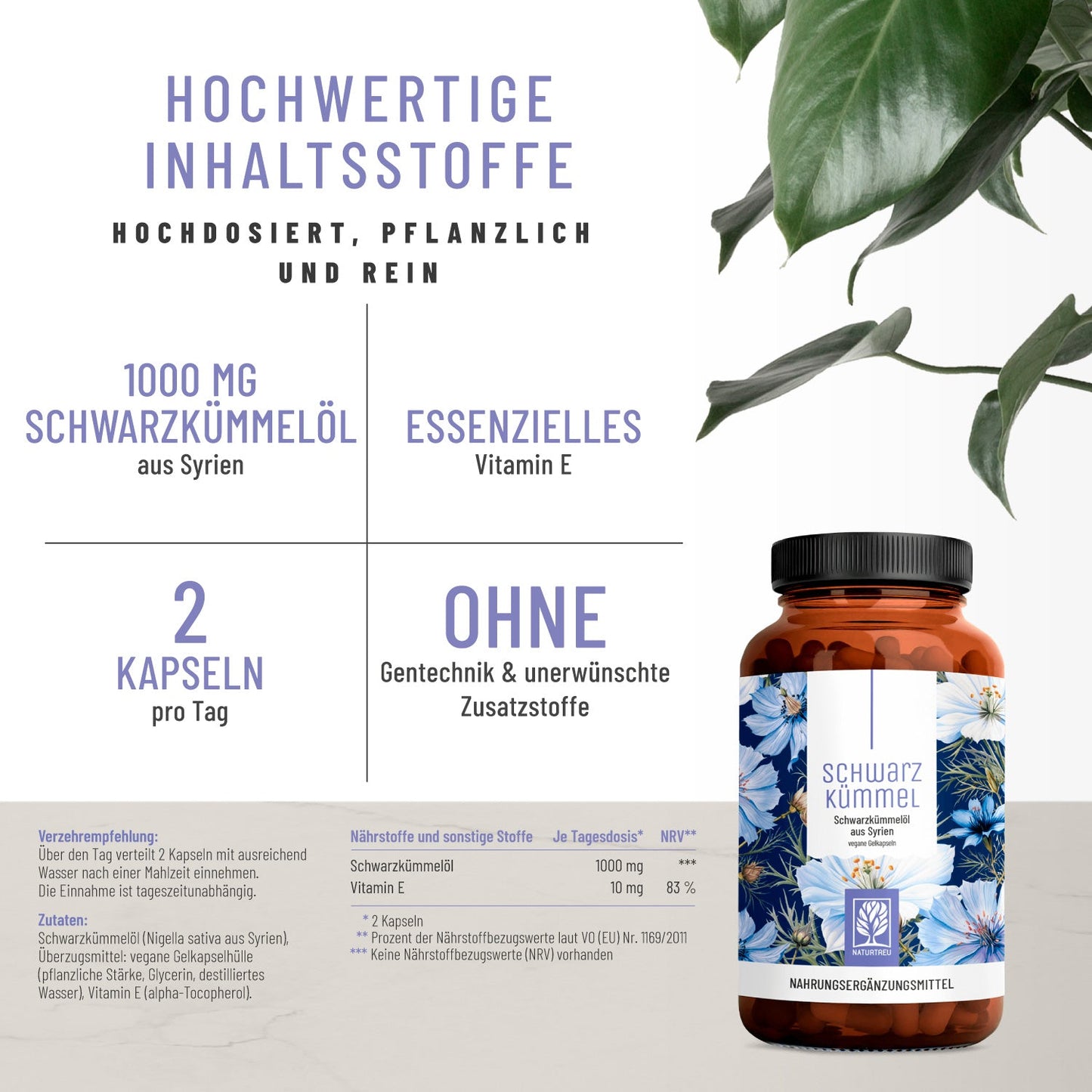 Schwarzkuemmel Schwarzkuemmeloel Hochwertige Inhaltsstoffe