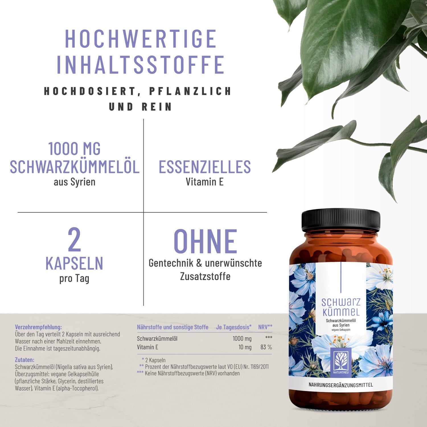 Schwarzkuemmel Schwarzkuemmeloel Hochwertige Inhaltsstoffe