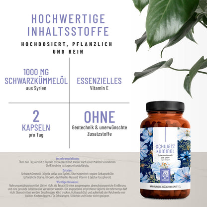 Schwarzkuemmel Schwarzkuummeloel Hochwertige Inhaltsstoffe