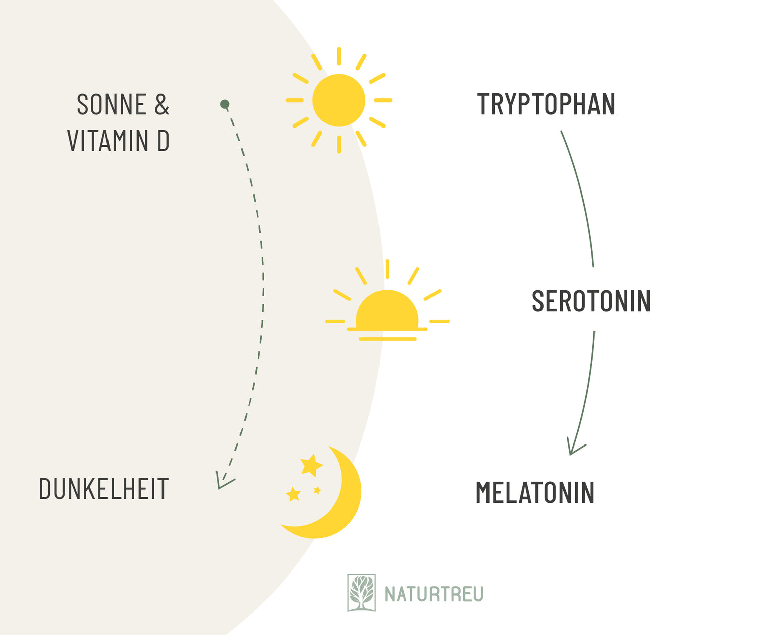 Serotonin_Landingpage Glücksbote.jpg__PID:a7683527-5f44-4b9c-8398-af9ac2027c87