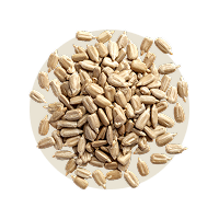 23 g Sonnenblumenkerne (für Vitamin K)