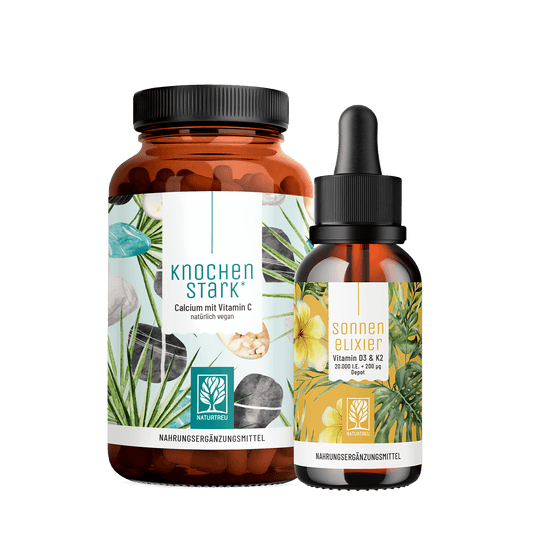 Starke Basis Paket Titelbild