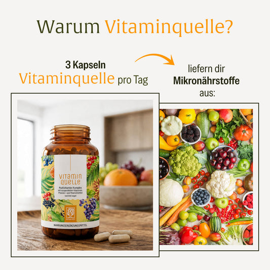 Vitaminquelle Multivitamin-Komplex Versorgung im Vergleich 