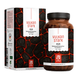 Vulkanstark Titelbild 