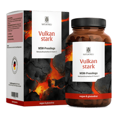 Vulkanstark Titelbild 