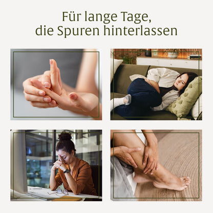 Wasserbalance: Brennnesselblatt-Komplex