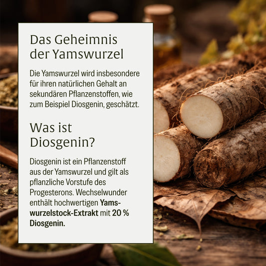 Wechselwunder Wechseljahre Komplex Yamswurzel Qualität