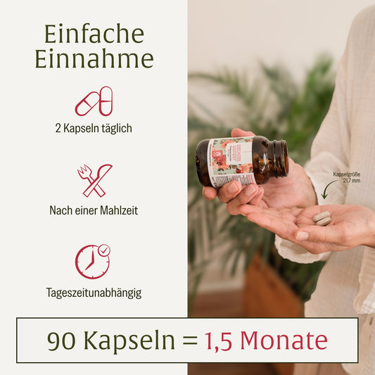 Wechselwunder: Meno-Komplex mit Yams & Rotklee