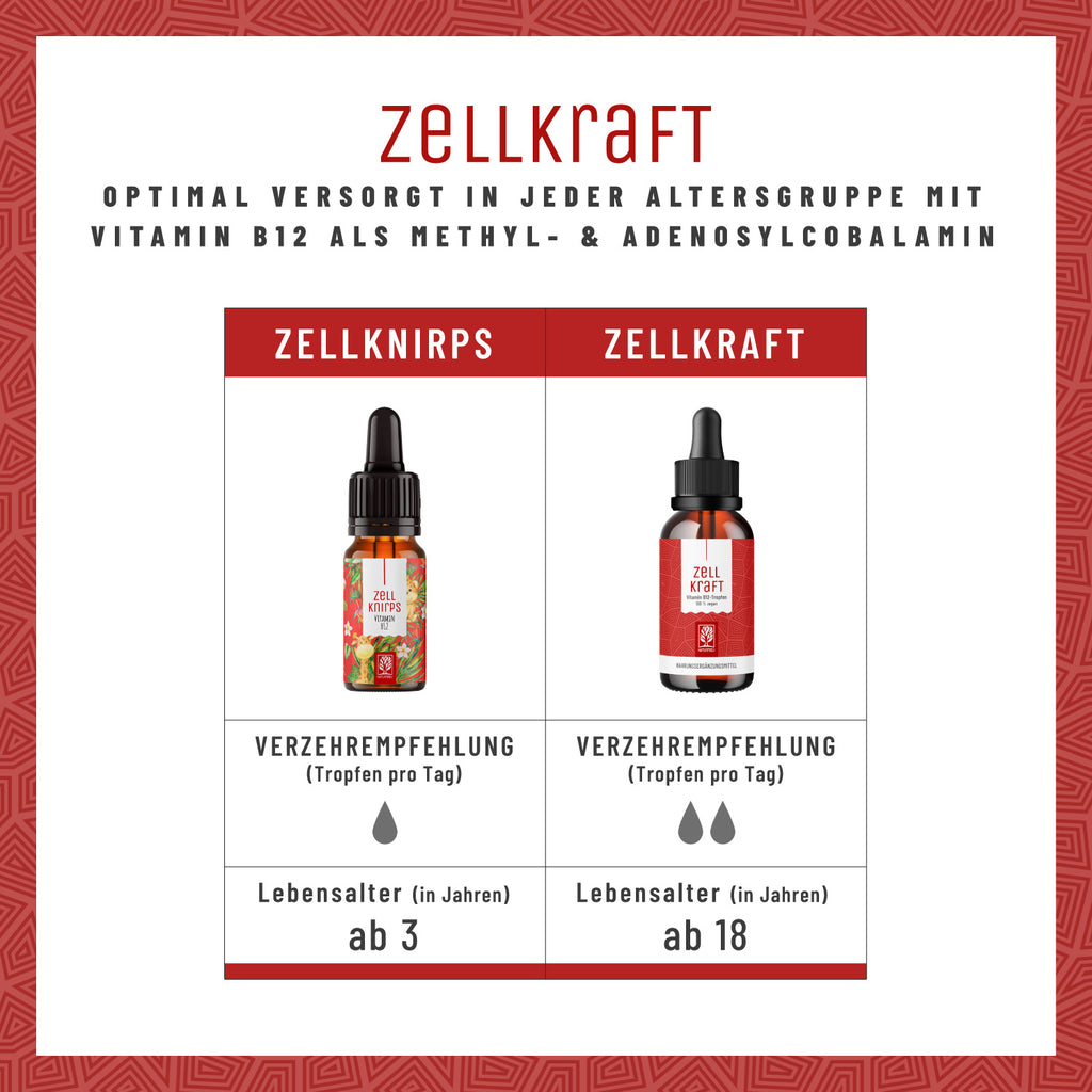 Zellkraft Vitamin B12 Tropfen Altersgruppe