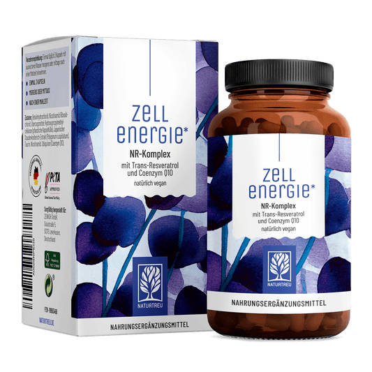 Zellenergie NR-Komplex Titelbild